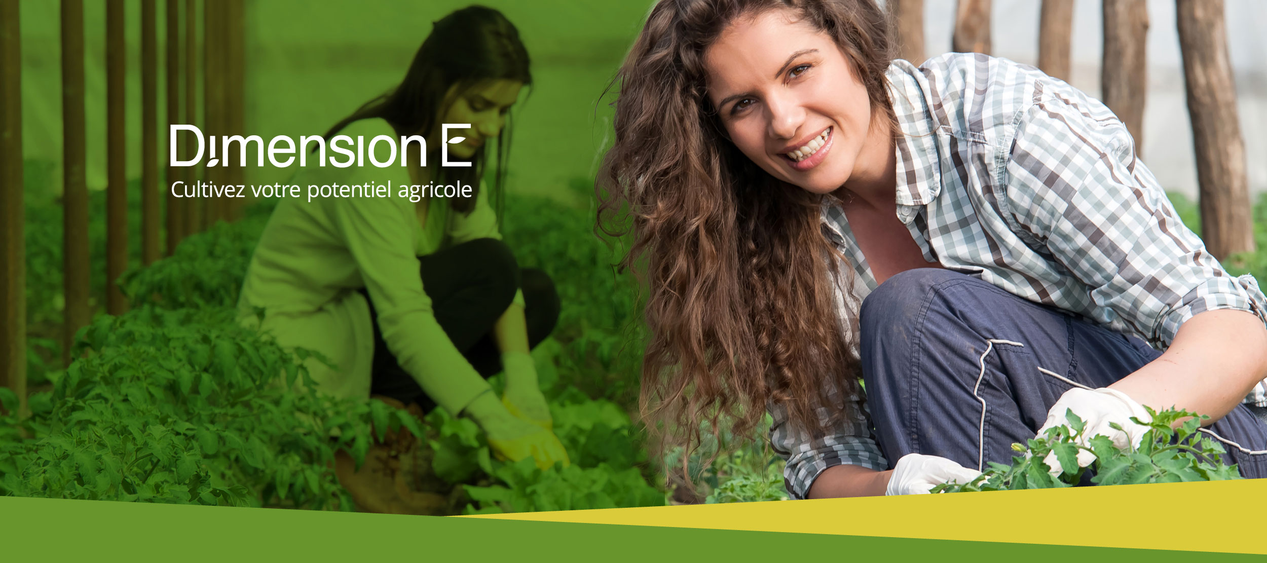 Financement féminin agricole