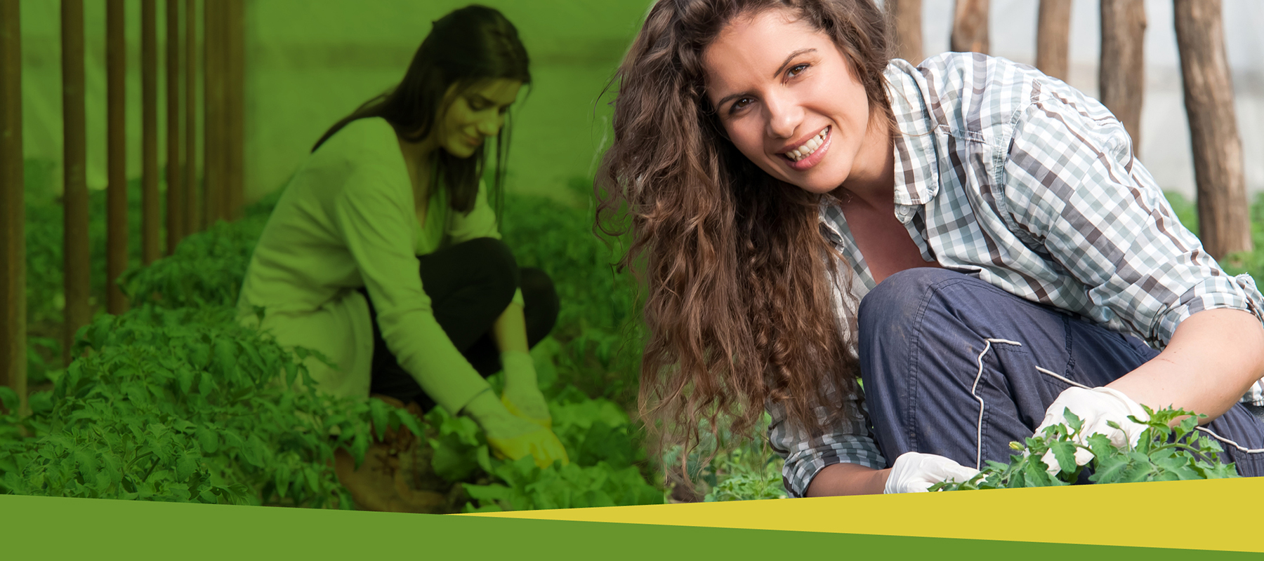 Financement féminin agricole